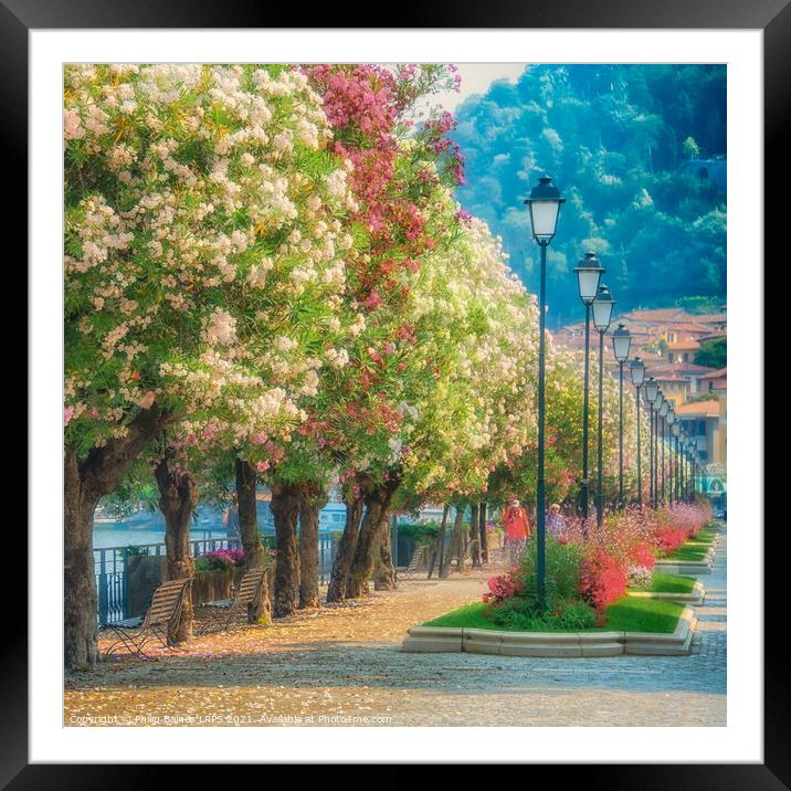 Blossom in Bellagio Framed Mounted Print by Philip Baines