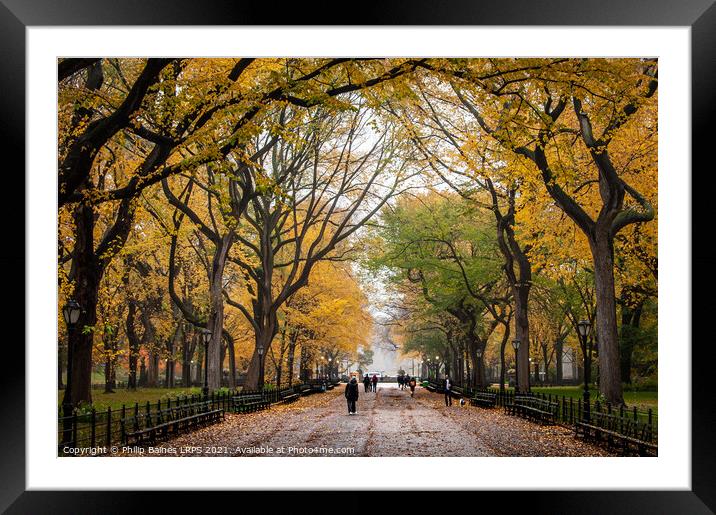 Central Park's Mall and Literary Walk Framed Mounted Print by Philip Baines