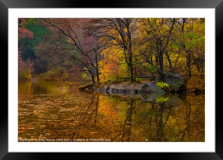 Reflections of Central Park Framed Mounted Print by Philip Baines