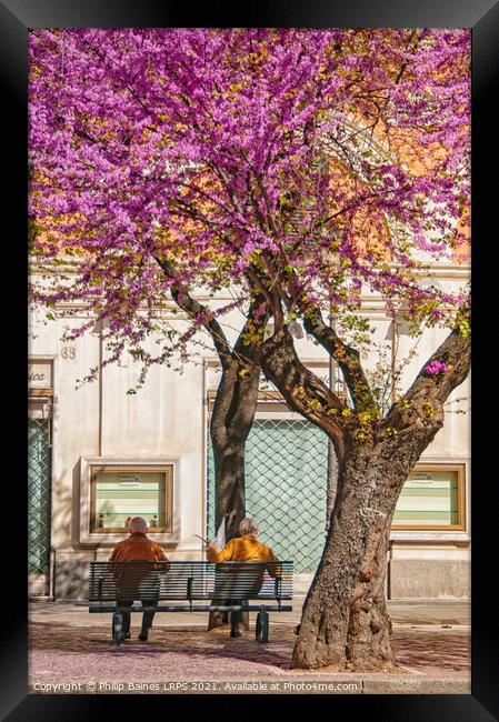 Sunday Morning in Roma Framed Print by Philip Baines