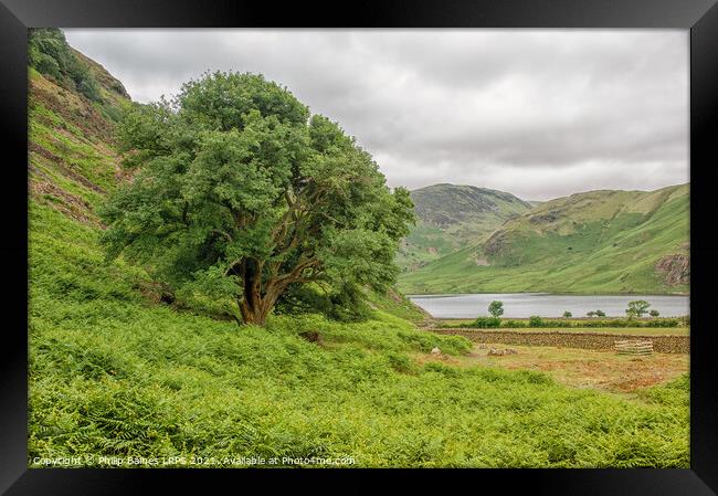 Crummock Water from Rannerdale Knotts Framed Print by Philip Baines