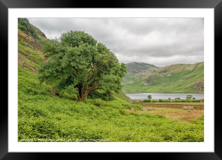 Crummock Water from Rannerdale Knotts Framed Mounted Print by Philip Baines