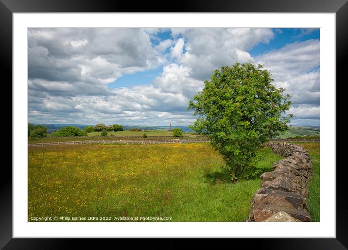 Werneth Low in Spring Framed Mounted Print by Philip Baines