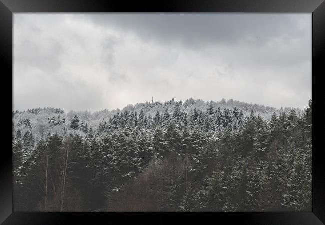 Frozen Forest - Zwyec Winter #6 Framed Print by Henry Clayton
