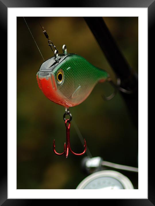 Pike Fishing Lure 1 Framed Mounted Print by Paul Holman Photography