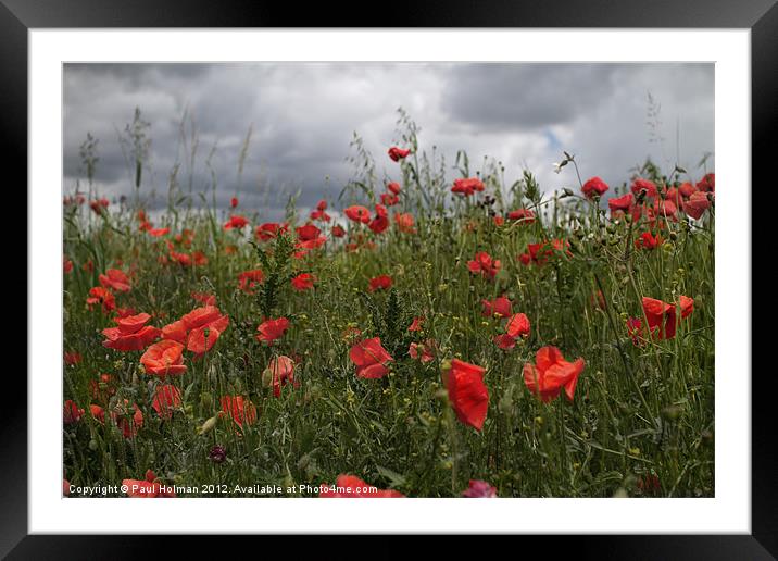 We Will Remember Framed Mounted Print by Paul Holman Photography