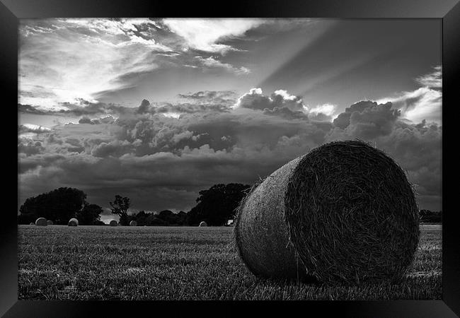 Harvest time Framed Print by Paul Holman Photography
