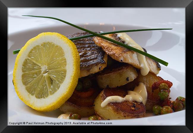 Sea Bass on Scallops Framed Print by Paul Holman Photography