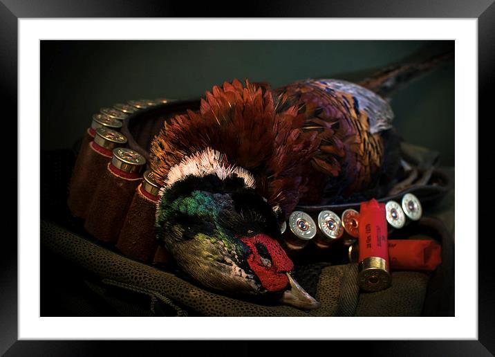 Pheasant Shoot Framed Mounted Print by Paul Holman Photography