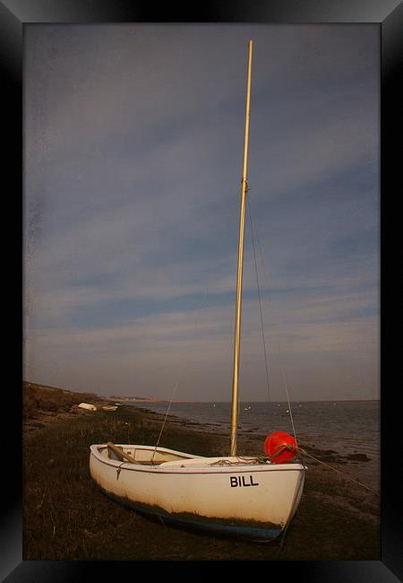  Bill Framed Print by Paul Holman Photography