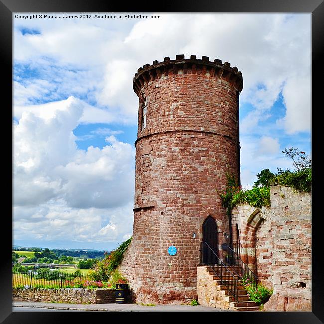 Gazebo Tower Framed Print by Paula J James