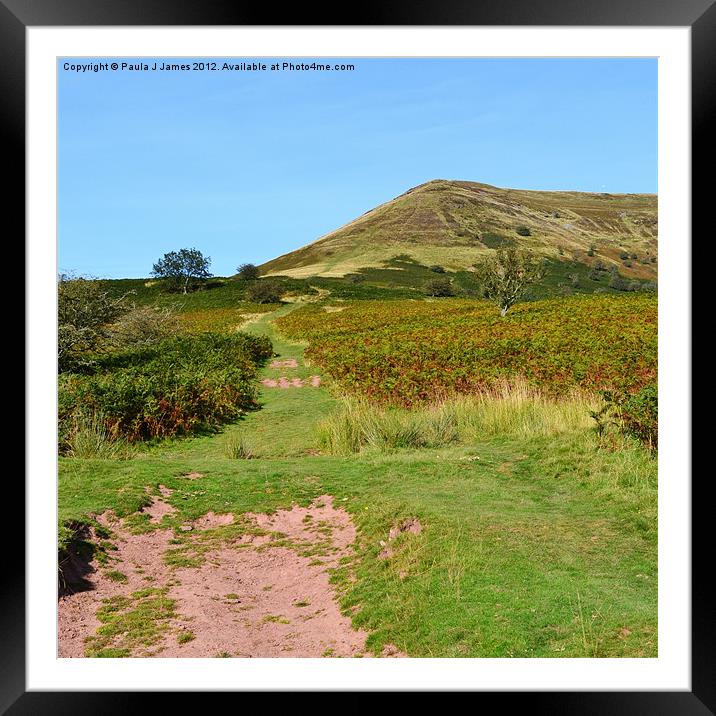Path to Mynydd Troed Framed Mounted Print by Paula J James