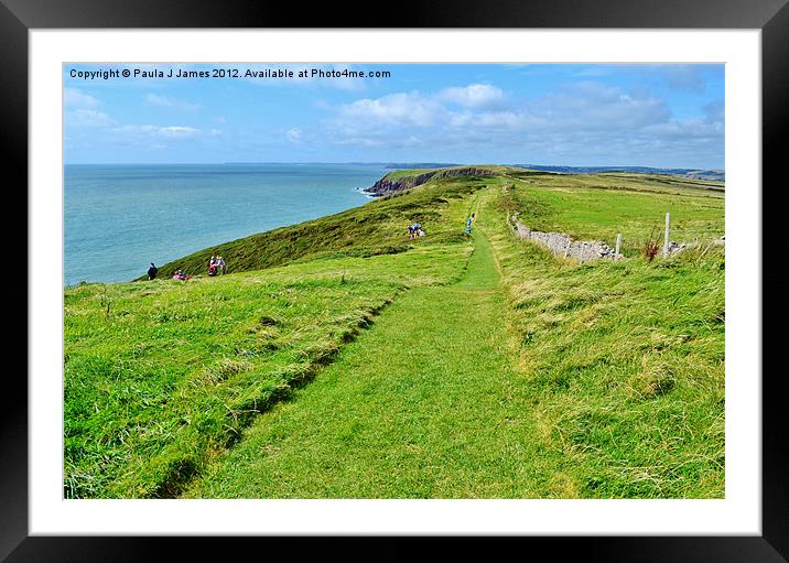 Caldey Island Coast Path Framed Mounted Print by Paula J James
