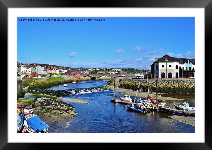 Trefechan Bridge & the river Rheidol Framed Mounted Print by Paula J James