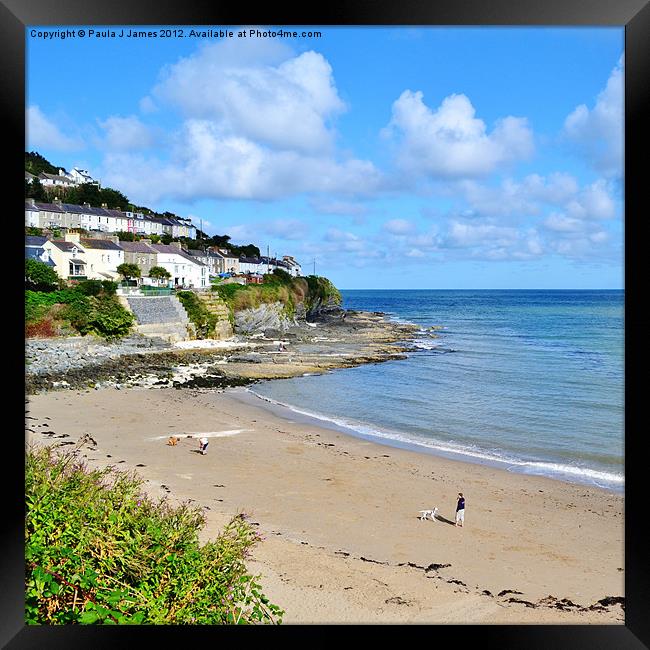 Dolau Beach Framed Print by Paula J James