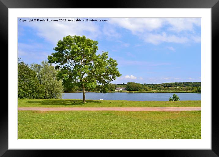 Cosmeston Lakes Country Park Framed Mounted Print by Paula J James