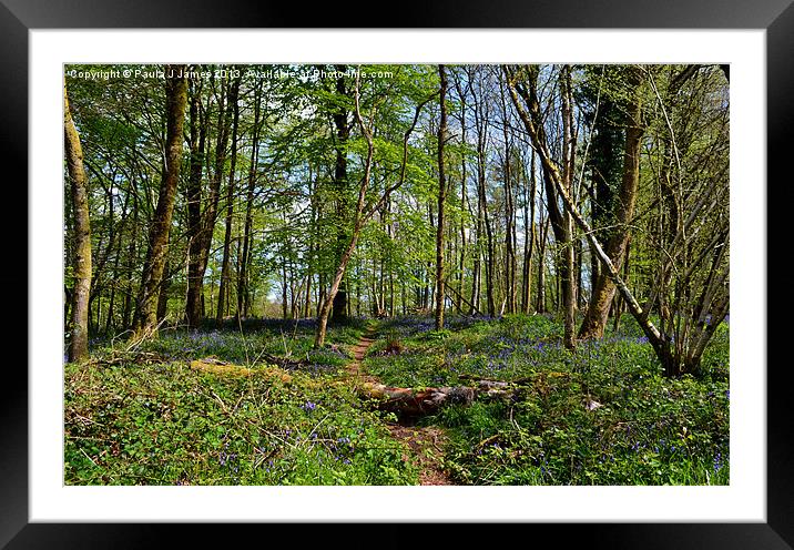 Castle Woods Framed Mounted Print by Paula J James