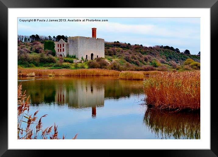 Aberthaw Lime Works Framed Mounted Print by Paula J James