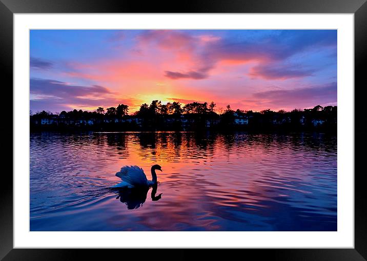 Sunset over Roath Park Lake Framed Mounted Print by Paula J James