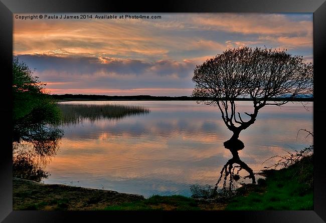 Kenfig Nature Reserve Framed Print by Paula J James