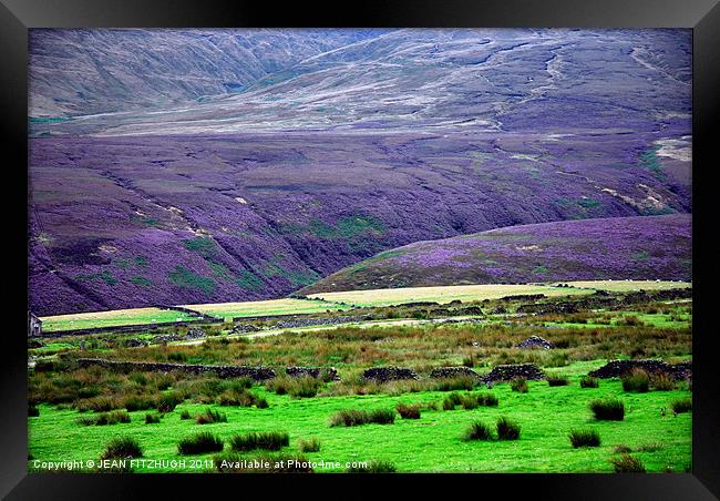 The Moors and The Heather Framed Print by JEAN FITZHUGH