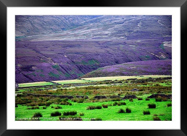 The Moors and The Heather Framed Mounted Print by JEAN FITZHUGH