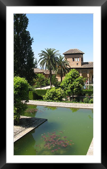 The Alhambra Palace Framed Mounted Print by JEAN FITZHUGH