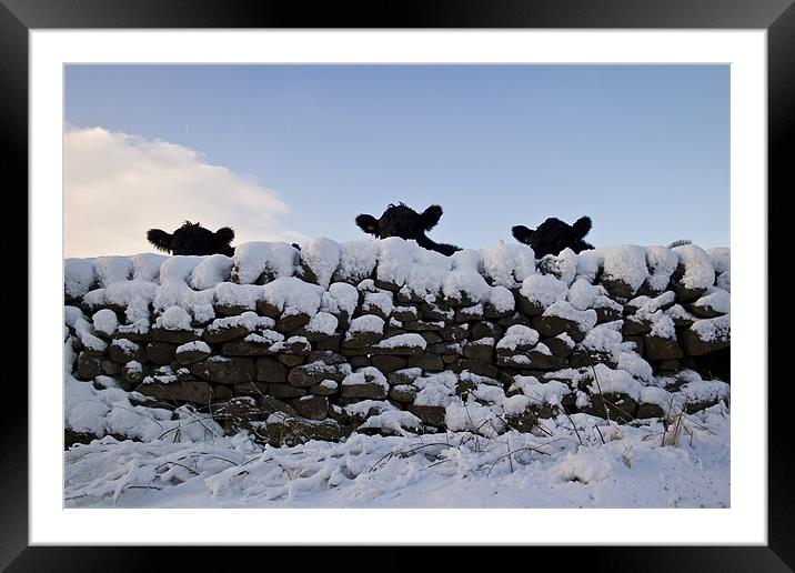 Stonewall Defence Framed Mounted Print by Peter Carroll