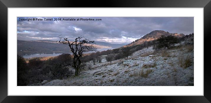 Landscape Lake District Windermere Lake Framed Mounted Print by Peter Carroll