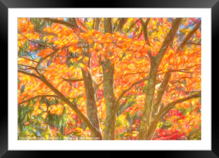 New York Autumnal Art  Framed Mounted Print by David Pyatt