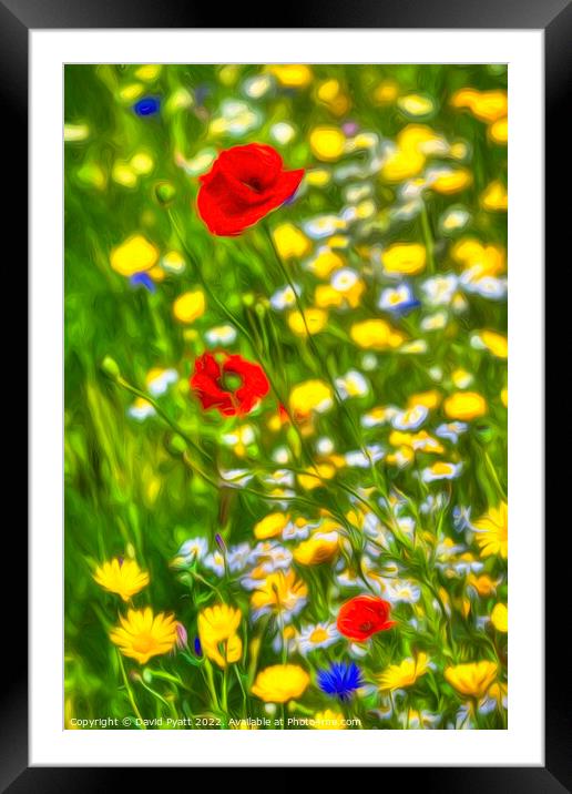 Poppy Dream Art  Framed Mounted Print by David Pyatt