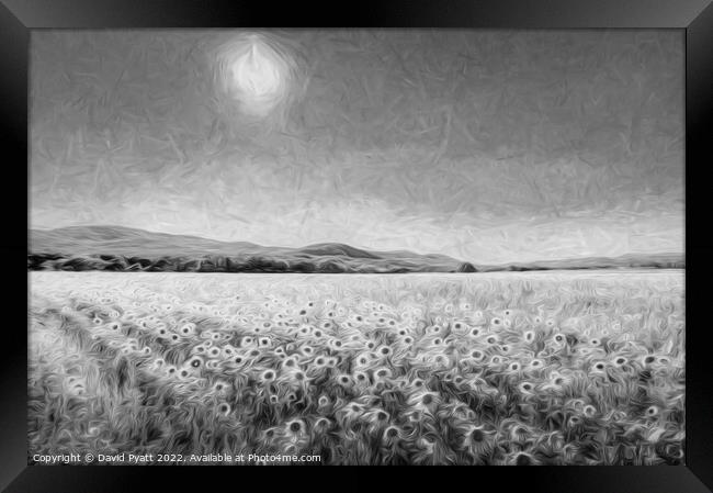 Sunflower Vista Art Framed Print by David Pyatt