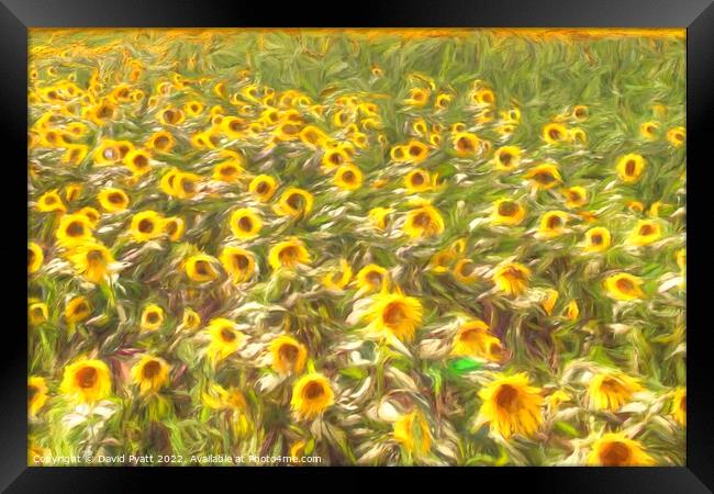 Sunflower Summer Breeze Art Framed Print by David Pyatt
