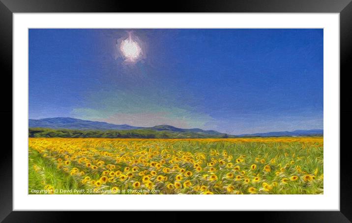Sunflower Dreaming Art Framed Mounted Print by David Pyatt