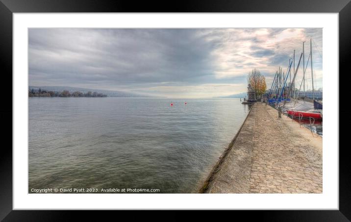 Lake Zurich Switzerland Panorama   Framed Mounted Print by David Pyatt