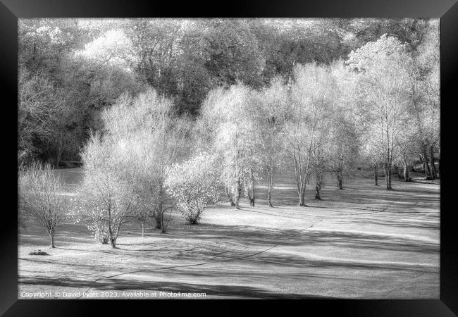 Dartmoor Morning Frost Vista Framed Print by David Pyatt