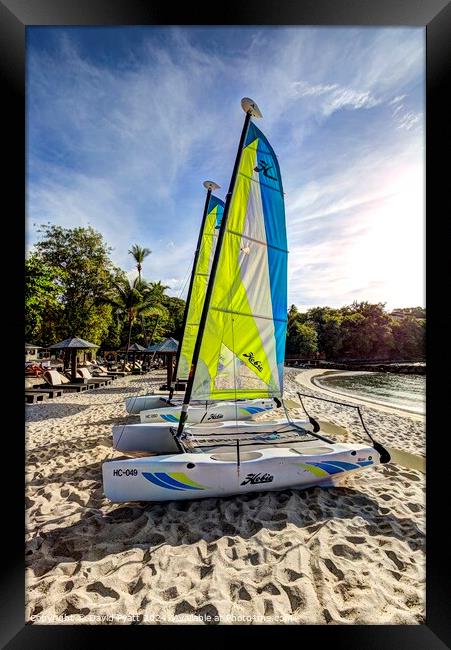 St Lucia Beach Catamarans Framed Print by David Pyatt