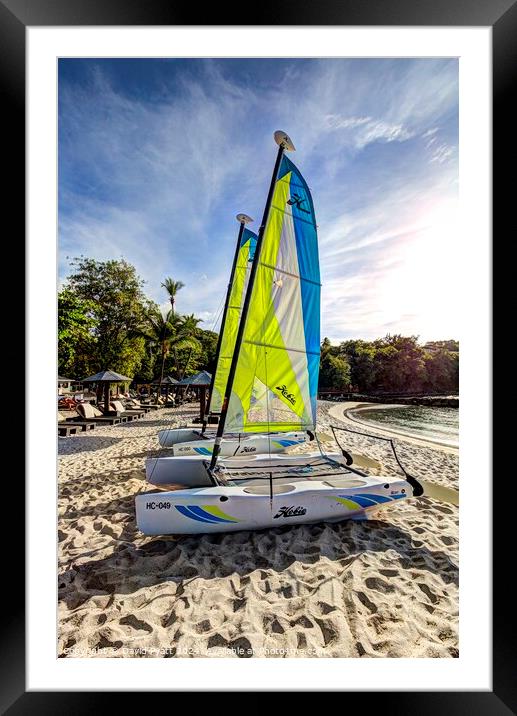 St Lucia Beach Catamarans Framed Mounted Print by David Pyatt