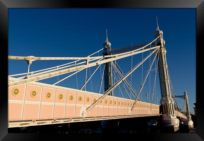 The Albert Bridge London Framed Print by David Pyatt