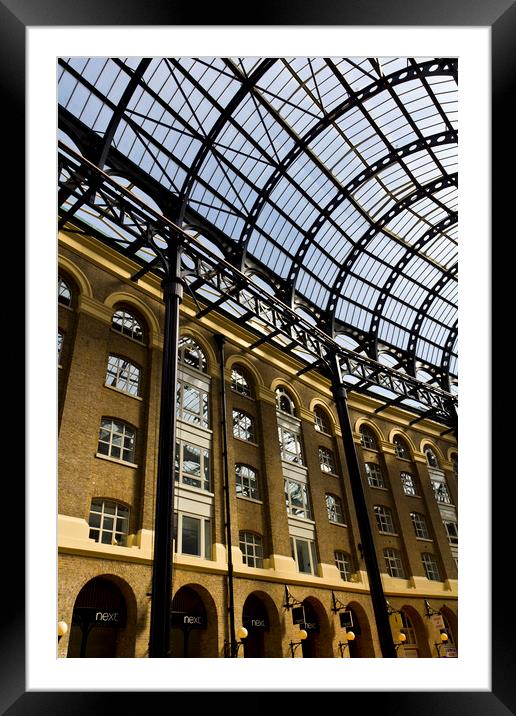 Hays Galleria London Framed Mounted Print by David Pyatt