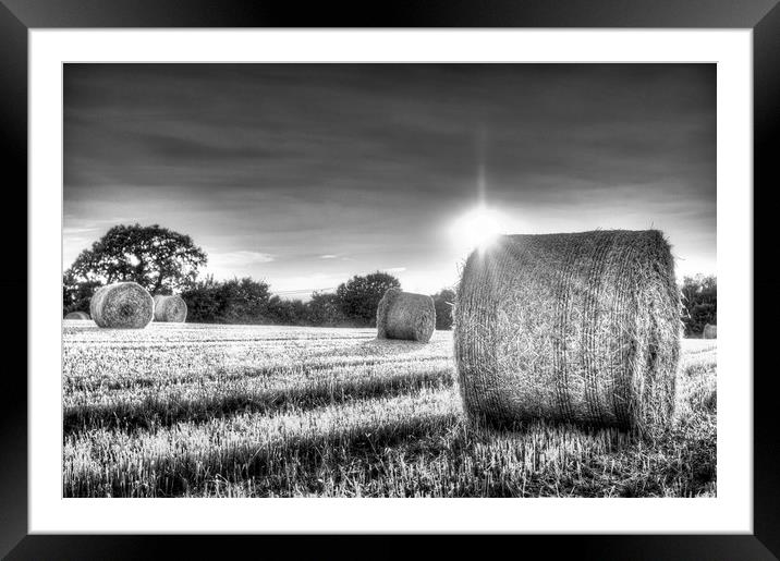 A Summers Evening Farm Framed Mounted Print by David Pyatt