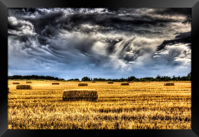  The Summer Farm Framed Print by David Pyatt