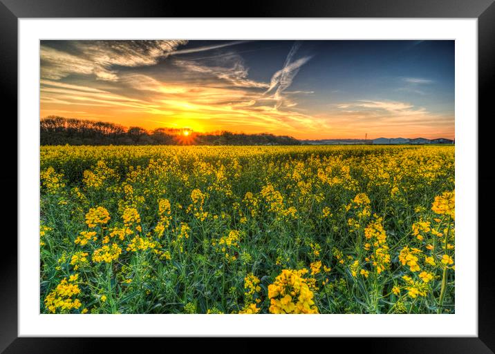 The April Farm Framed Mounted Print by David Pyatt