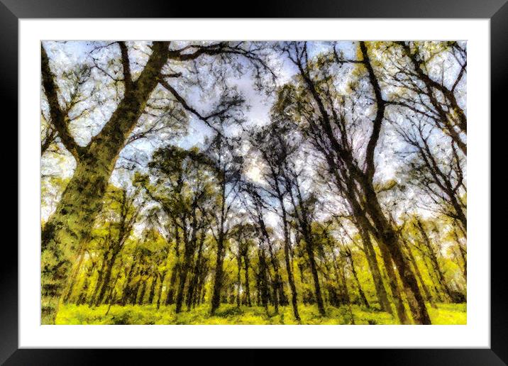 The Pastel Trees Framed Mounted Print by David Pyatt