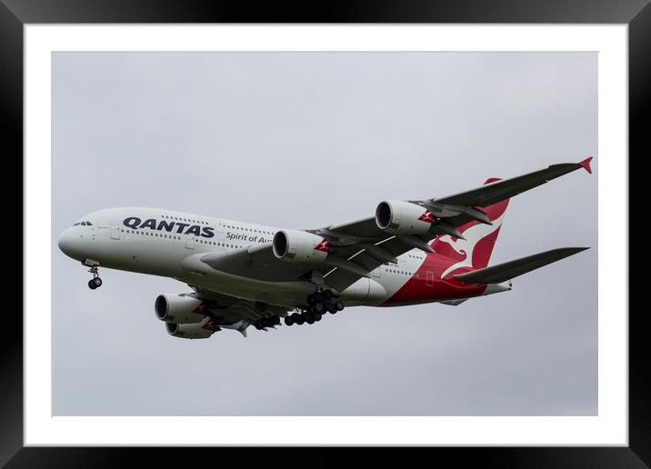 Qantas Airbus A380 Framed Mounted Print by David Pyatt