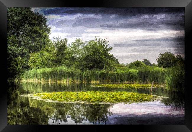 The Lily Pond Framed Print by David Pyatt