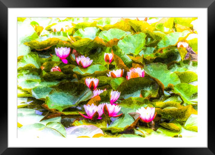 Water Lily Art  Framed Mounted Print by David Pyatt
