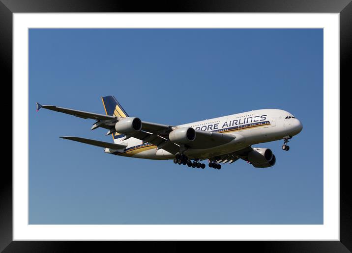 Singapore Airlines Airbus A380 Framed Mounted Print by David Pyatt