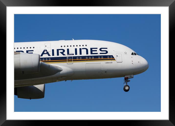 Singapore Airlines Airbus A380 Framed Mounted Print by David Pyatt