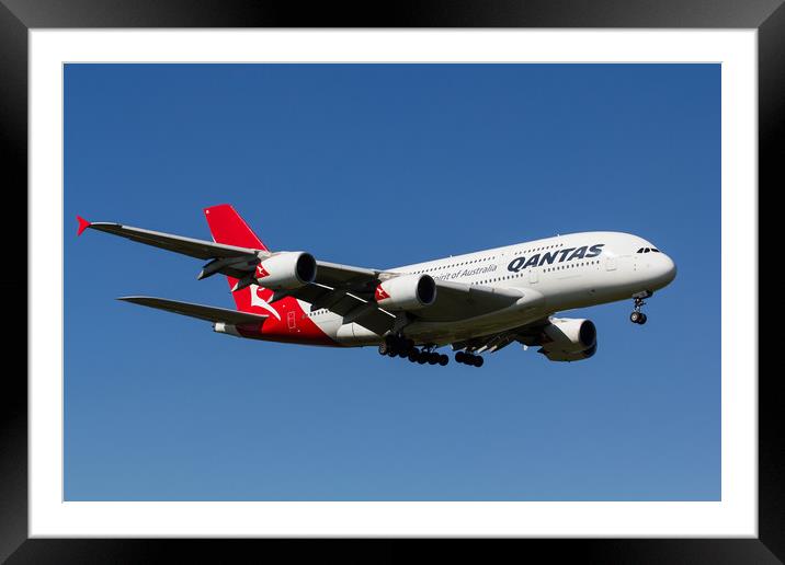 Qantas Airbus A380 Framed Mounted Print by David Pyatt